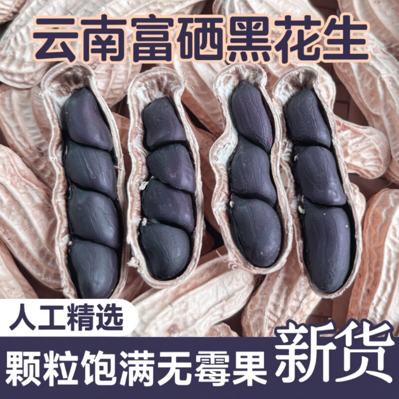 富硒黑花生带壳黑花生2025新货云南普洱特产晒干生熟黑皮花生米