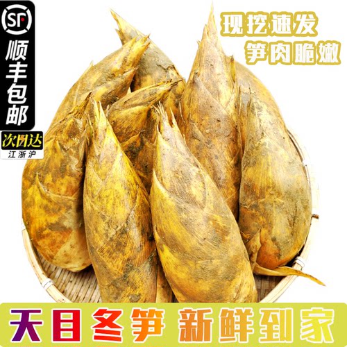 顺丰包邮正宗冬笋农家鲜嫩天然纯野生新鲜竹笋临安黄泥笋去老根笋