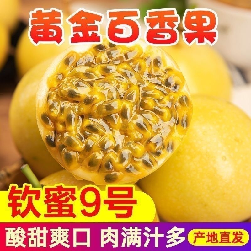 钦蜜9号黄金百香果批发