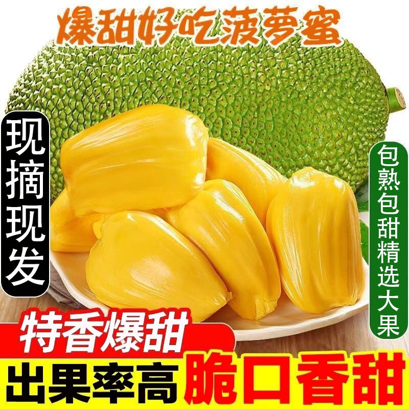 当季海南黄肉菠萝蜜新鲜现摘一整个干苞木菠萝特产热带水果假榴莲