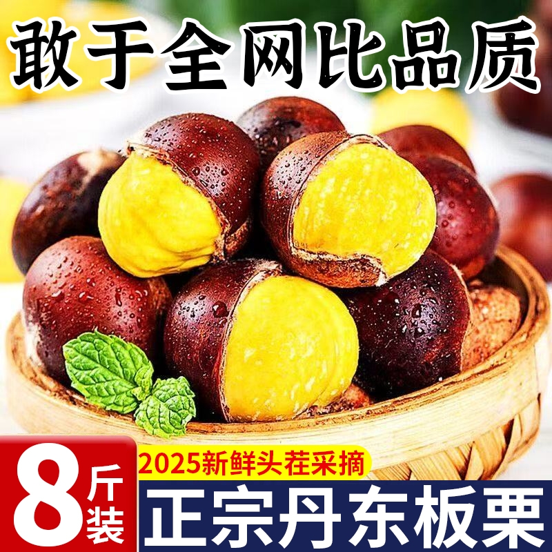2025新鲜丹东板栗8斤鲜栗子生大嫩板粟锥栗新油板栗仁野生批发