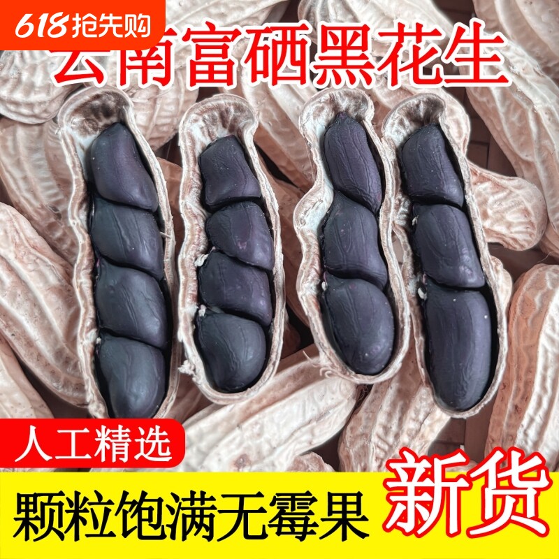 云南黑花生种子富硒黑皮带壳官方旗舰店晒干袋装年货大粒好吃健康