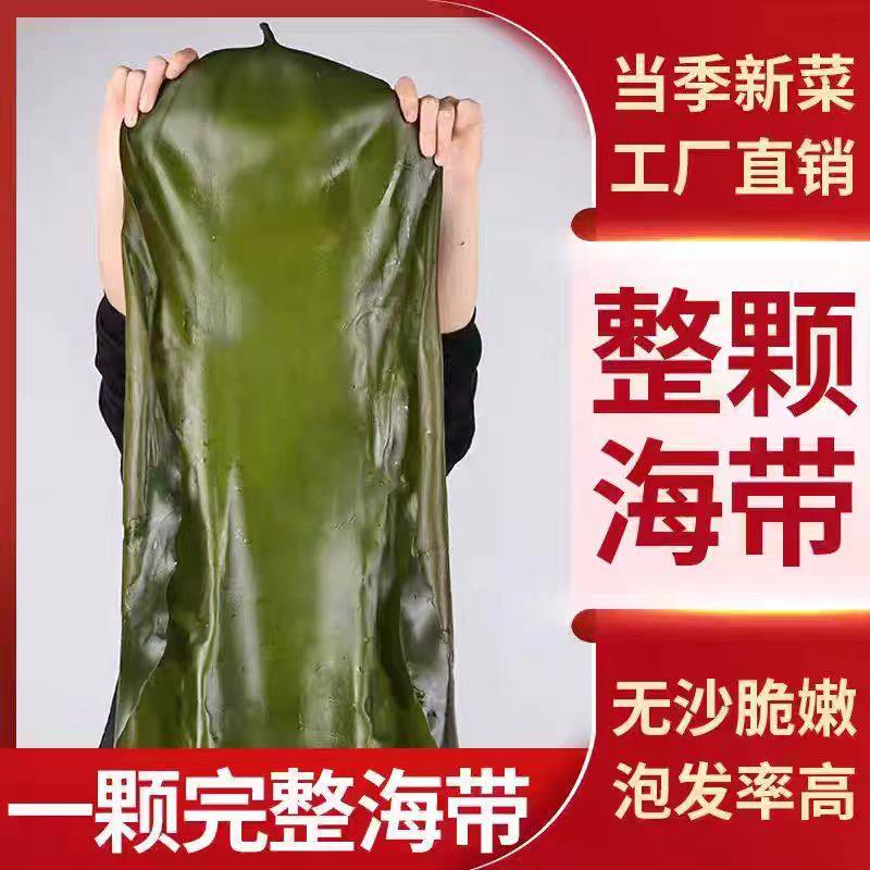 盐渍新鲜整棵海带特厚半干货煲汤火锅菜麻辣烫关东煮商用批发价,水产肉类/新鲜蔬果/熟食,海带,淘宝优惠券,粉丝福利购,淘宝优惠卷