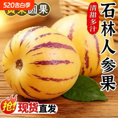 【石林直发】鲜嫩多汁清甜爽口