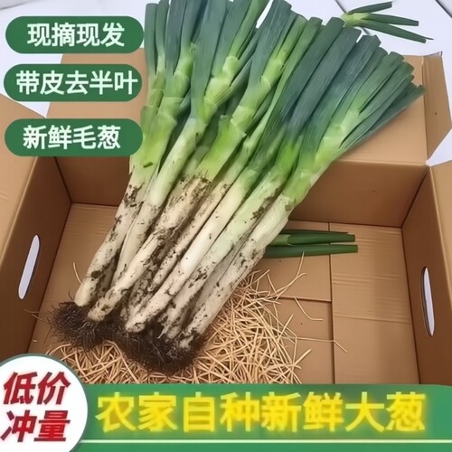 正宗山东大葱新鲜|超7000次加购