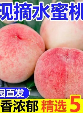 产地直发正宗水蜜桃脆甜脆桃子毛桃新鲜大果当季孕妇天水现摘