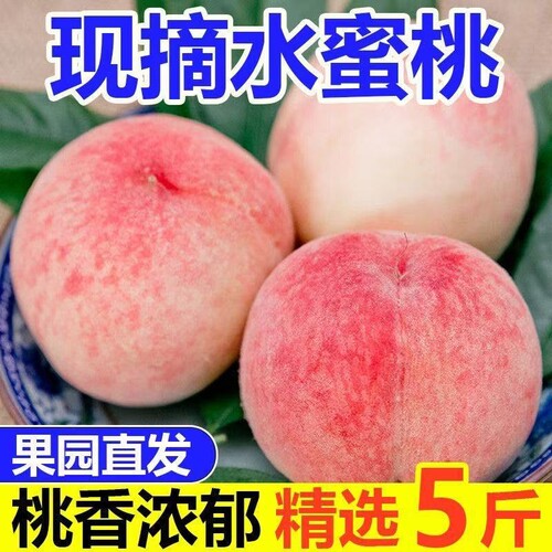 产地直发正宗水蜜桃脆甜脆桃子毛桃新鲜大果当季孕妇天水现摘