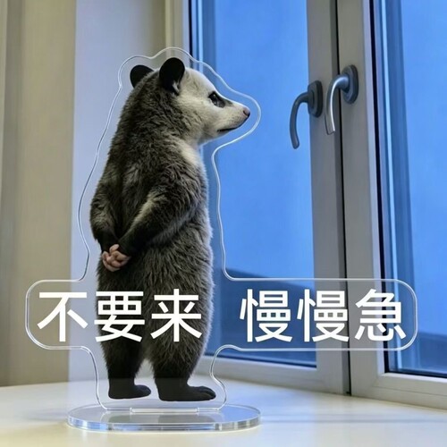 小红书爆款负鼠立牌|千人加购