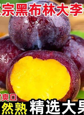 【2026现货】头茬现摘陕西黑布林李子新鲜应季水果黄肉黑李子包邮