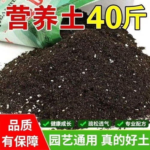 园艺专用种花营养土养花通用型肥料土壤家用有机肥花卉疏松花土