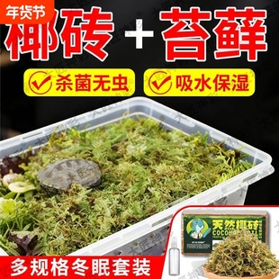 乌龟冬眠专用椰砖椰土沙冬眠箱盒子饲养箱苔藓过冬装备套装恒温箱