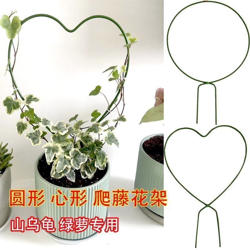 铁艺圆形造型爬藤攀爬架山乌龟雪莹花盆心形绿植盆景支架支撑杆