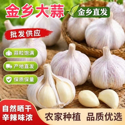 新鲜干蒜山东金乡大蒜5斤紫皮蒜头颗粒产地发优质农家种净蒜干净