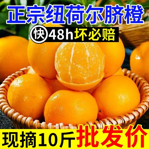 正宗纯甜纽荷尔脐橙子新鲜水果非江西赣州赣南当季大果批发现摘