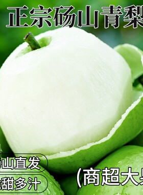 梨子正宗砀山梨青梨酥梨当季水果新鲜安徽皇翠冠整箱香梨雪梨青皮