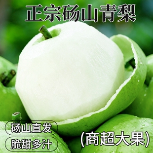 梨子正宗砀山梨青梨酥梨当季水果新鲜安徽皇翠冠整箱香梨雪梨青皮