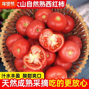 四川自然熟沙瓤番茄西红柿新鲜水果生吃蔬菜攀枝花米易当季现摘