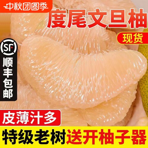 福建莆田仙游度尾文旦柚