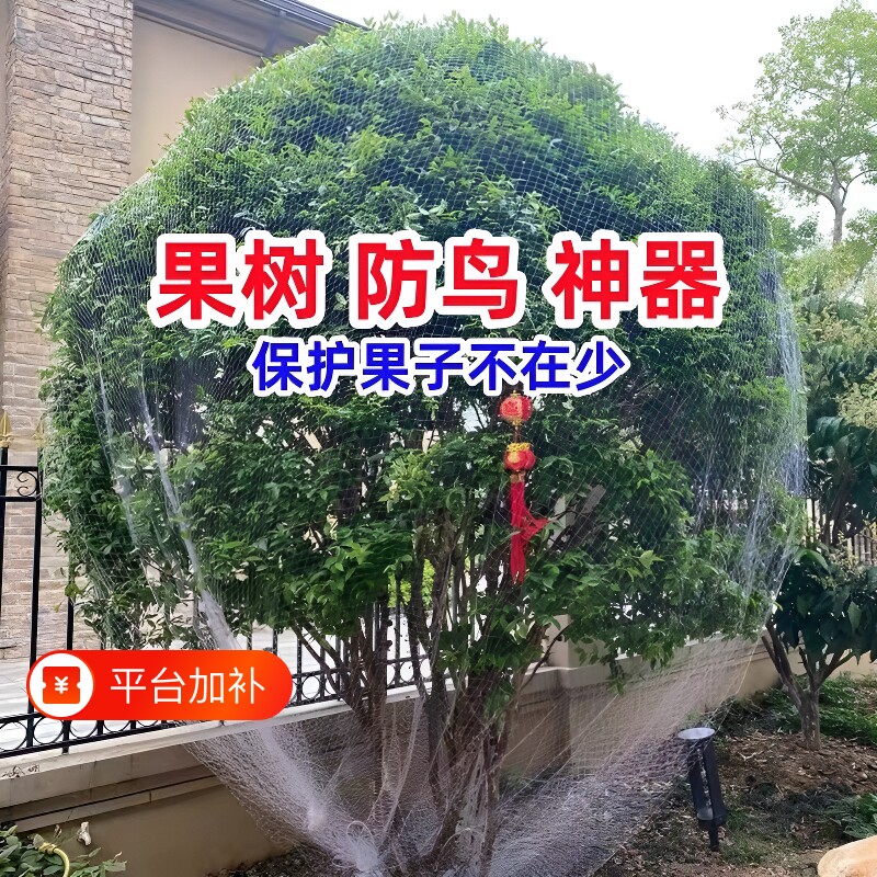 防鸟网防鸟罩嘉宝果树网罩果园专用网神器纱网尼龙防护网小鸟耐用