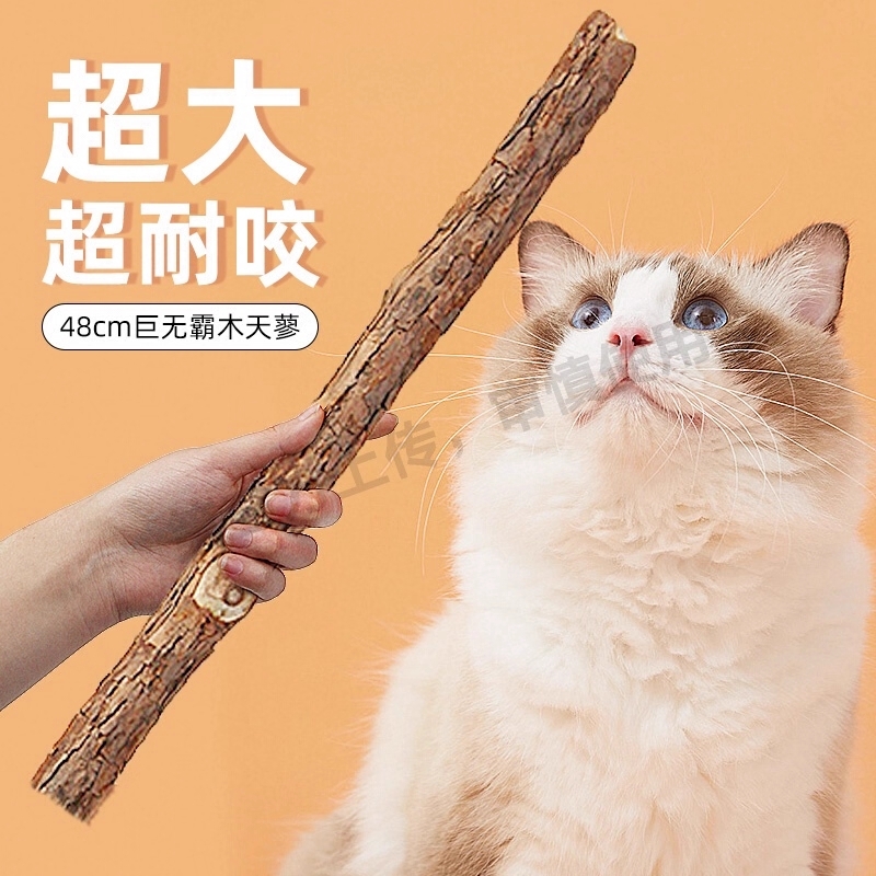 原创真芹菜木天蓼猫玩具逗猫棒铃铛耐咬小葱磨牙啃咬小猫咪用品