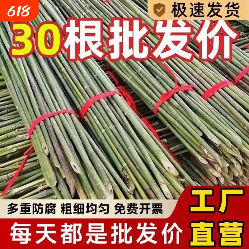 【店长推荐】竹竿子菜园搭架蔬菜架丝瓜架黄瓜架豆角架番茄架爬藤