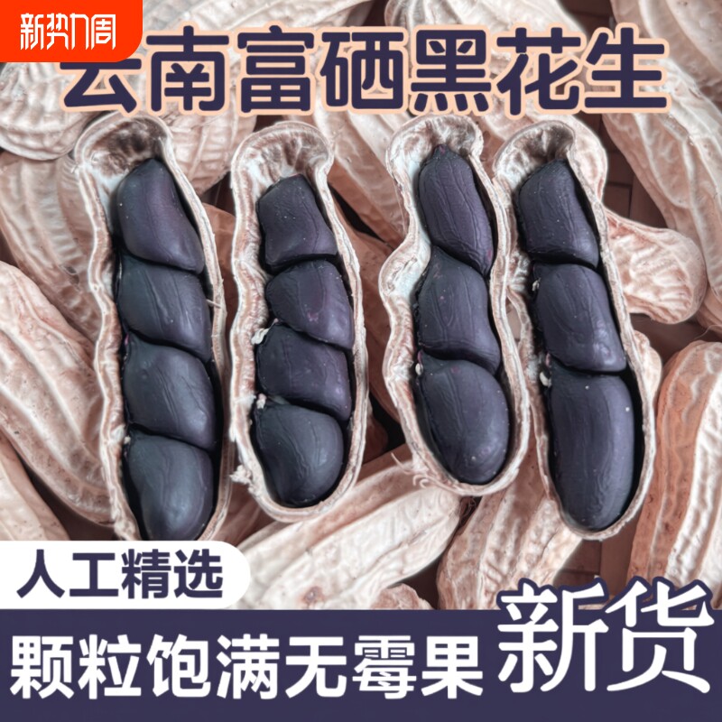 富硒黑花生带壳黑花生2025新货云南普洱特产晒干生熟黑皮花生米