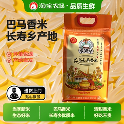 巴马长寿香米新米长粒香米猫牙米大米米业好吃的米饭上林煮粥煮饭
