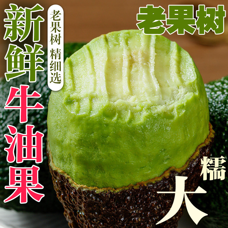 哈斯牛油果大果进口新鲜水果孕妇当季宝宝辅食一级鳄梨整箱包邮,水产肉类/新鲜蔬果/熟食,牛油果,淘宝优惠券,粉丝福利购,淘宝优惠卷