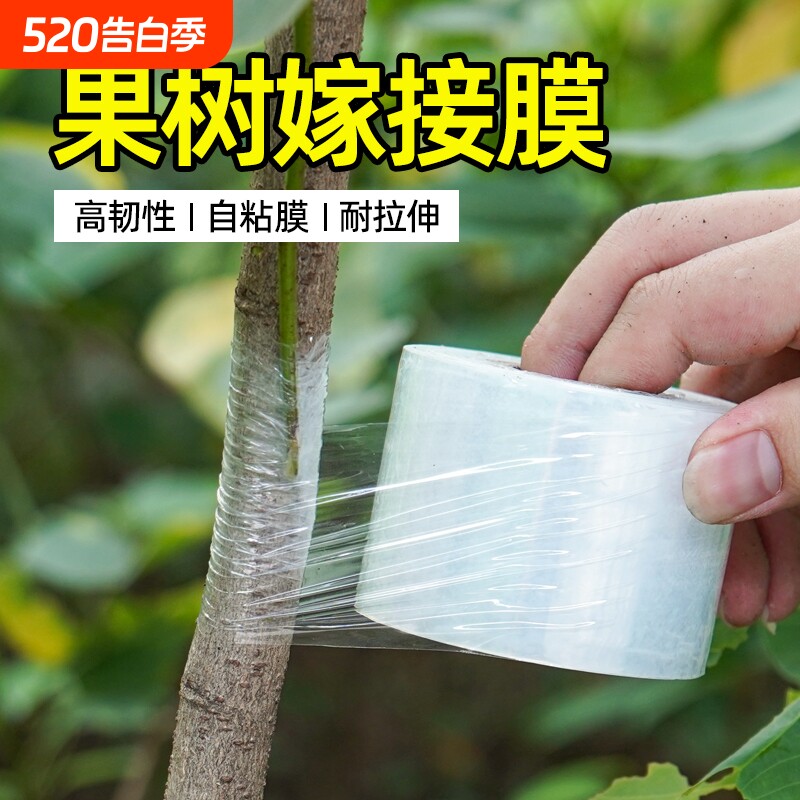 嫁接专用膜果树缠绕膜PE免拆自粘无需打结薄膜园林果树嫁接胶带