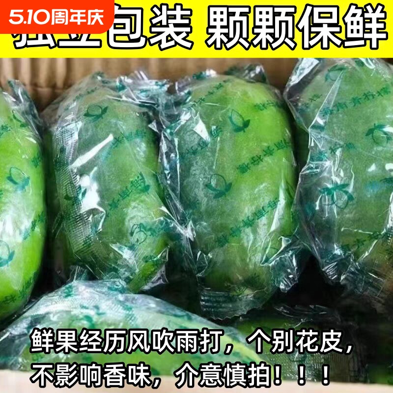 海南无籽香水青柠檬新鲜5斤子弹头当季水果薄皮小青柠奶茶店专用