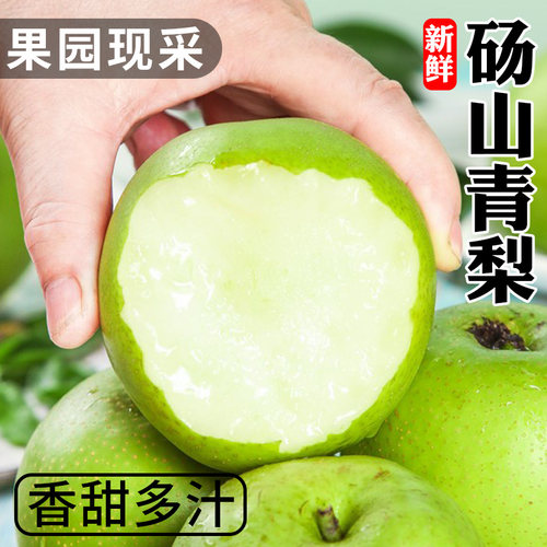 砀山梨白皇冠梨梨子当季新鲜水果苹果梨批发孕妇水果青皮现摘采摘