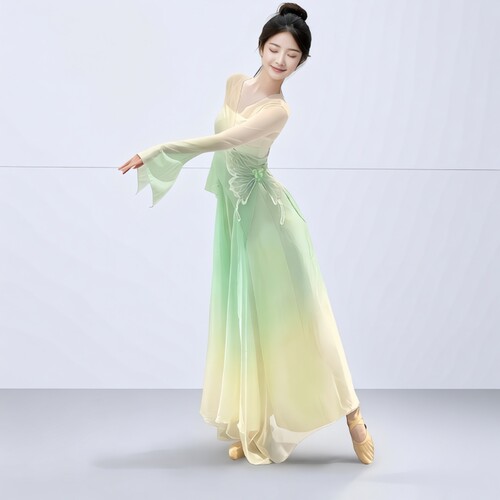 古典舞蹈服装飘逸身韵纱衣练功服女舞台装成人仙气古风演出服裙裤