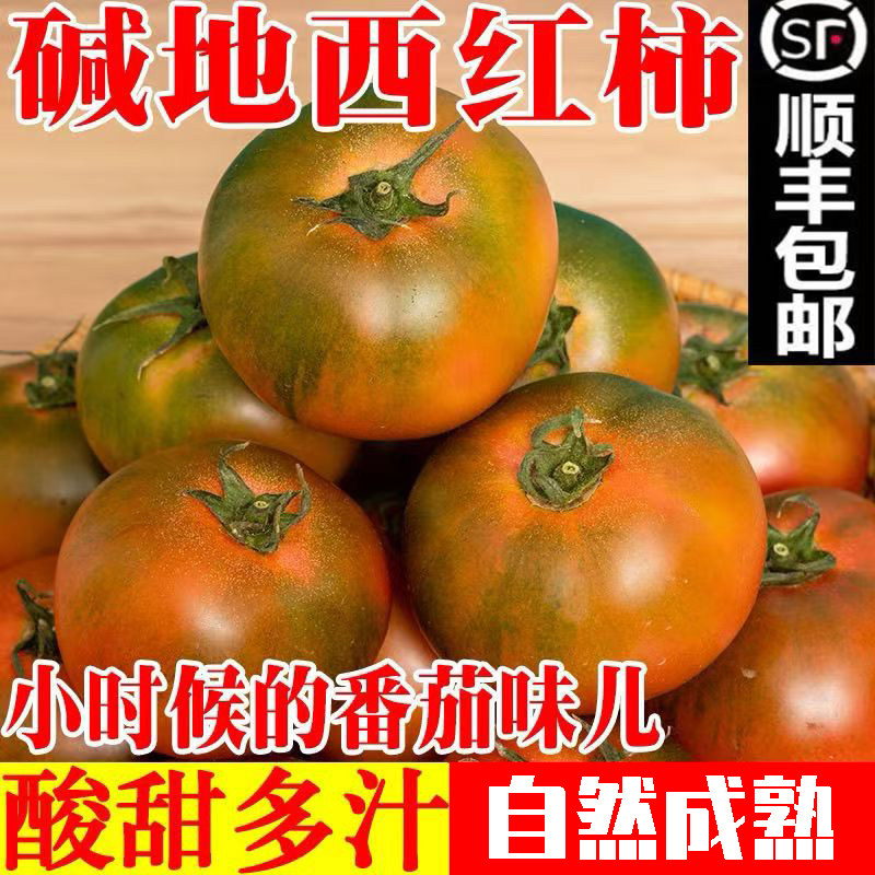 发顺丰东北碱地柿子草莓番茄铁皮西红柿正宗绿腚自然水果送达酸甜