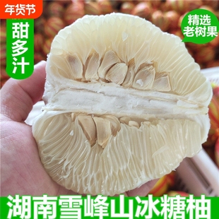 湖南怀化安江雪峰冰糖柚40斤雪峰柚小苦柚药柚子安福蚕子冰糖柚子