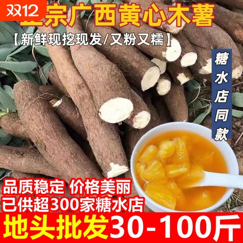 广西新鲜黄心木薯批发30-100斤