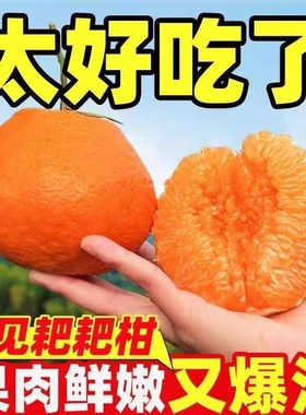 正宗四川眉山春见耙耙柑应当季新鲜水果孕妇可食丑橘子一整箱批发
