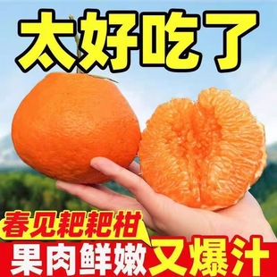 正宗四川眉山春见耙耙柑应当季新鲜水果孕妇可食丑橘子一整箱批发