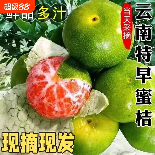 云南蜜桔新鲜水果5斤青皮蜜橘应季早熟橘子无籽桔子孕妇整箱包邮