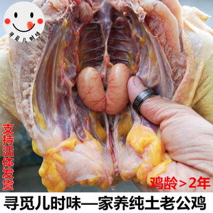 活體雞 農(nóng)家收購(gòu)二年散養(yǎng)土老大公雞公 新鮮整雞走地雞柴雞月子雞
