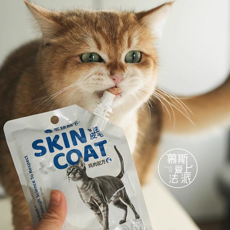 毛球殿下猫咪主食餐包图片