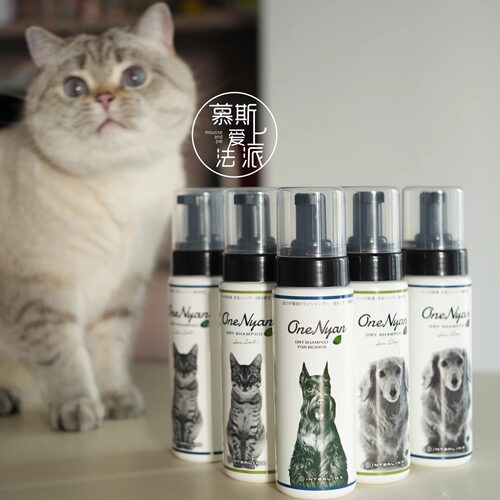 丸颜宠物免洗泡沫香波