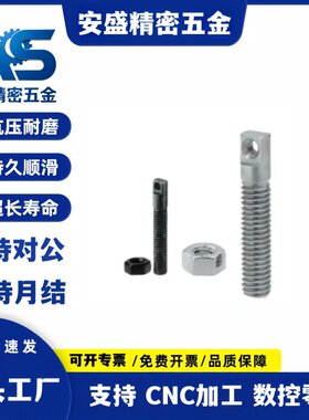 拉伸弹簧支柱SAIPO3 4 5 6 8 10 12-15 20 25 30 35 40 50 60 70