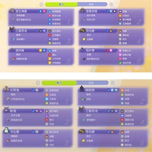 Pokémon 宝可梦冠军队伍双打 单打成品排位闪光6V满级满努力精灵