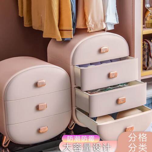 收纳盒内衣内裤袜子收纳神器抽屉式分格家用衣柜整理箱 2层 轻奢