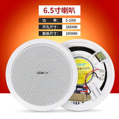先科(SAST)天花吸顶喇叭吊顶音响商铺定压背景音乐广播音箱 S1-6