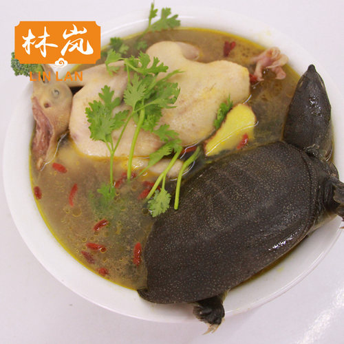 鸽子甲鱼新鲜宰杀顺丰包邮