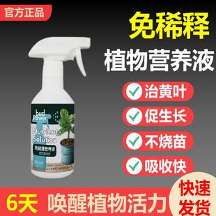 营养液植物通用爆芽增色生根剂复合肥叶面肥盆栽养花肥料土培水培