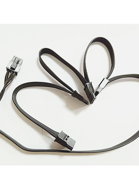 海盗船模组线 AX1200i  4SATA线