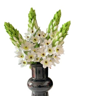 高棒束手di材自制客厅摆件含花级扭扭花工y料包装饰花 不瓶