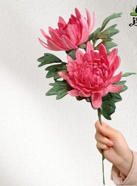 单扭合致手制d包闺蜜支扭棒集精花朵工自iy材料送好友 自备夹板